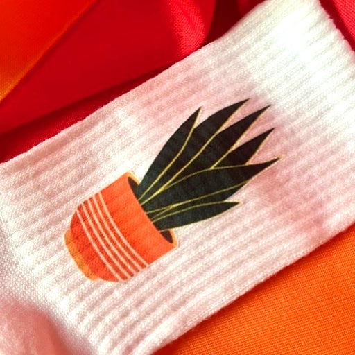 Sanseveria sokken