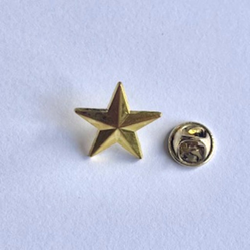 pin ster goud